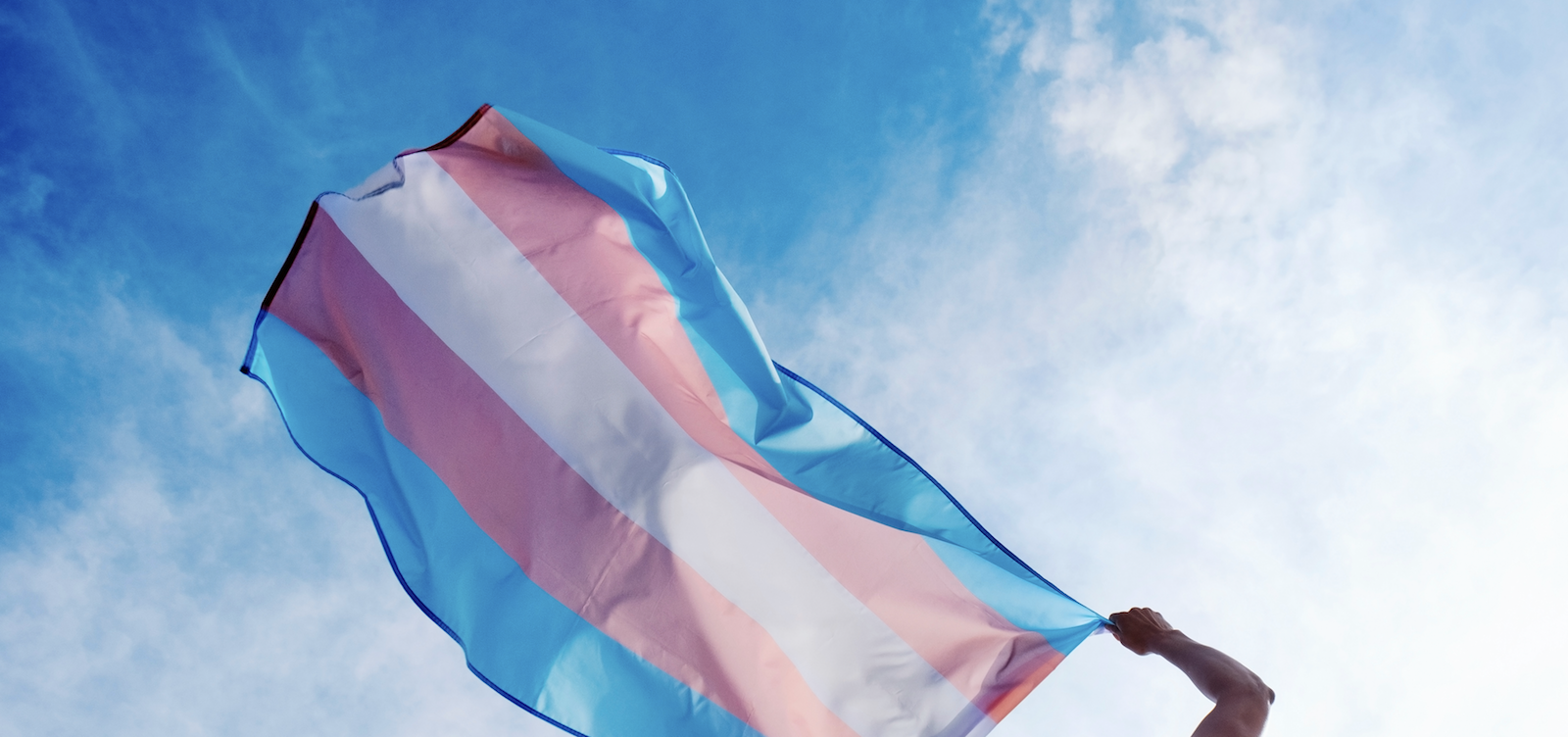 A trans flag (blue, pink, white stripes) is held in the air.
