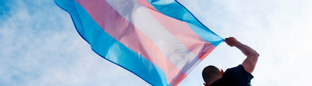 A person holding a trans flag.