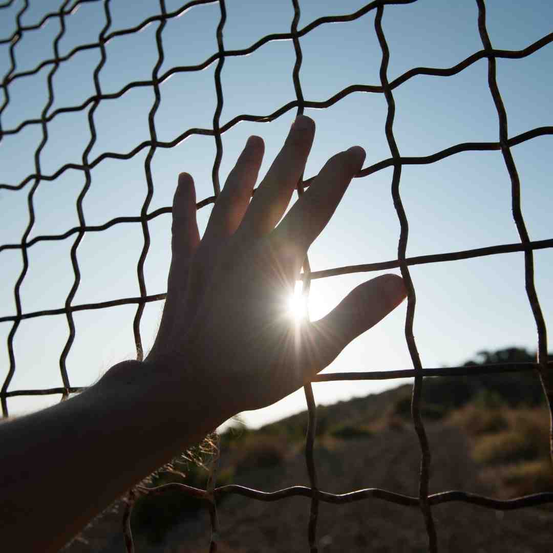 A hand on a fence with the sun in the background. 
