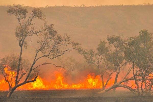 Bushfire in NSW