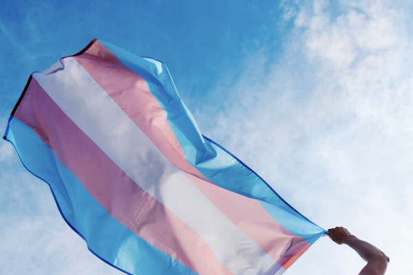 A trans flag flying in the wind. 